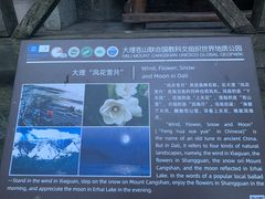 景点-苍山感通索道