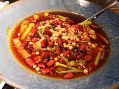招牌馋嘴蛙-馋嘴猫北京食堂·烤鸭·宵夜(亚运村店)