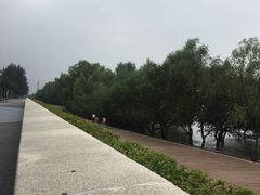 -宝安西湾红树林湿地公园