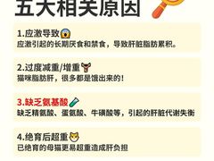 -芭比堂动物医院·CT·微创中心(新顺分院)