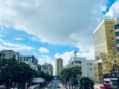 -野狸岛