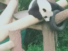 -沈阳森林动物园