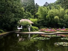 -庐山风景区花径公园