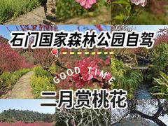 -广州市石门国家森林公园