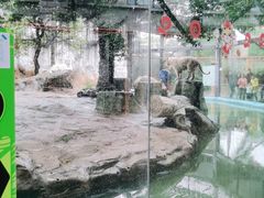 -灵玲国际马戏城