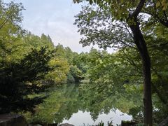 -东湖落雁景区