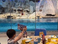 -帝企鹅自助餐厅•儿童岛•真企鹅(长隆企鹅酒店)