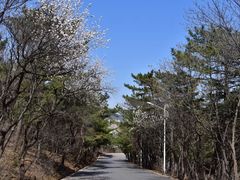 -白玉山景区