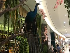 -雀蓝川菜(奥体广场店)