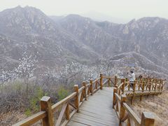 -大岭沟猕猴桃谷风景区