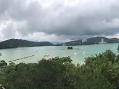 -金盆阿嬷香菇茶叶蛋(玄光店)