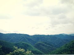 iphone_upload_pic-四明山国家森林公园