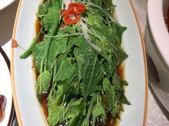 -雲蜀龙阁·金牌水煮鱼(方庄店)