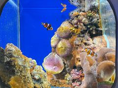 -海合安武汉极地海洋公园