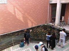 -芙蓉餐厅(厦大店)
