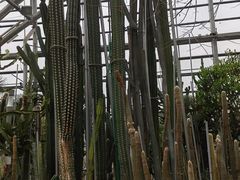 -南山植物园