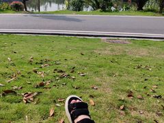 -枫香湖儿童公园