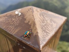 -天龙顶山地公园