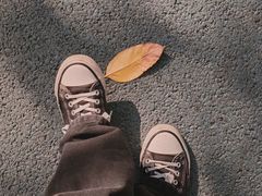 -白鹭洲公园