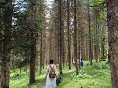 -硗碛藏寨·神木垒景区