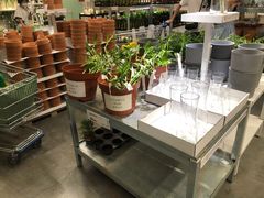 -宜家家居(哈尔滨商场店)