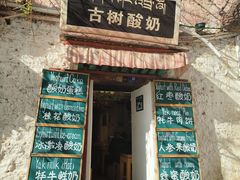 -古树酸奶(八廓南街店)