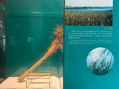 -中国湿地博物馆