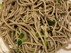 香椿豆腐丝-粗粮人家·东北菜(洋桥店)