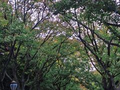 -八大关景区