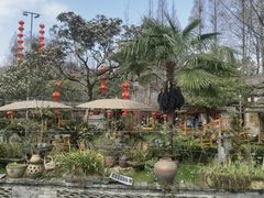 -青城甲(青城山店)