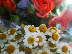 -三旗百汇商品城