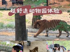 -秦皇岛野生动物园