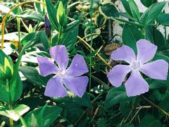 -苏州吴中太湖旅游区