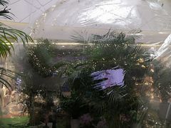 -保利MALL(天鹅湖店)