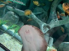 -福州罗源湾海洋世界旅游区