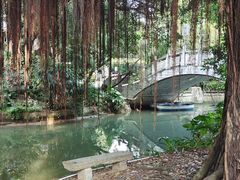-小洲村