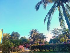 -亚龙湾喜来登·美景台大堂吧