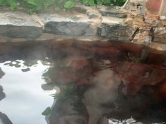 -中家鑫园温泉酒店鑫悦汤泉