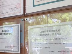 -瑞派申生动物医院·24H夜诊·国际动物医疗中心·骨外科(吴中路店)