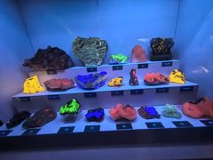 -湖南省地质博物馆