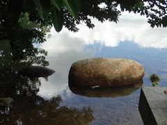-荔枝公园(福田区)