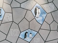 -珠海长隆海洋王国