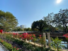 -晓港公园