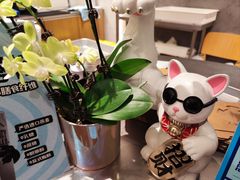 -WHEN PIGS FLY当猪飞