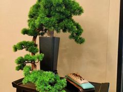 -王府茶宴(大观园总店)