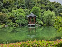 -云溪植物园
