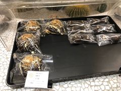 -OUR Bakery(SKP-S店)