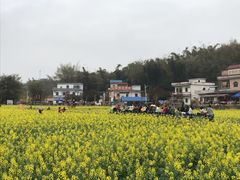 -红山村