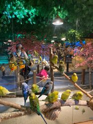 -酷嗒动物文化乐园(cutezoo西溪乐天城店)