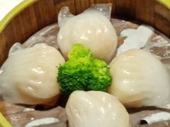 丰圆虾饺皇-丰圆轩粤式茶楼 . 点心粤菜(夏茅店)